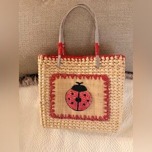 Vintage Embroidered Straw Bag 100% Corn Husk Ladybug Sequins Flowers 8x8 Purse